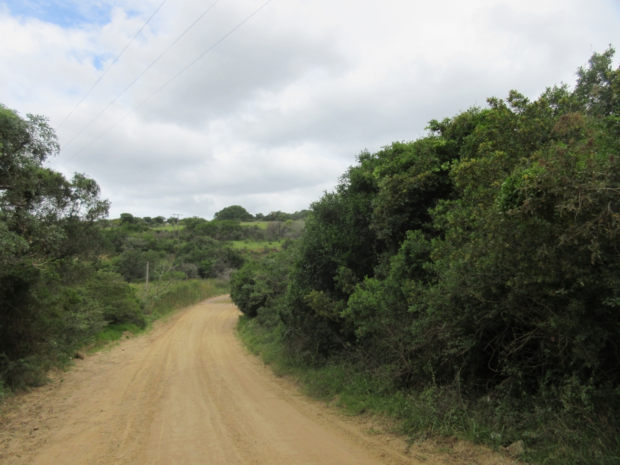 0 Bedroom Property for Sale in Bathurst Eastern Cape